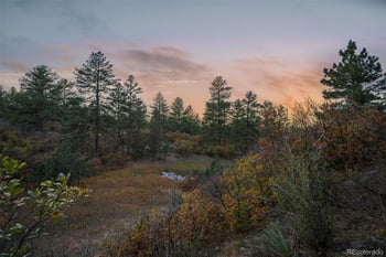 11011 Sunset Oaks Pl, Franktown, CO 80116