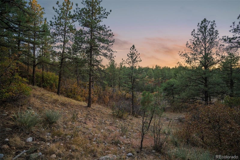 11011 Sunset Oaks Pl, Franktown, CO 80116