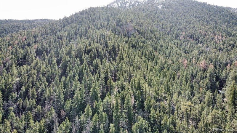 7893 Fourmile Canyon Dr, Boulder, CO 80302