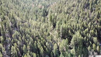 7893 Fourmile Canyon Dr, Boulder, CO 80302