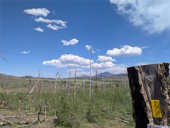 1956 Hilda Ln, Fort Garland, CO 81133