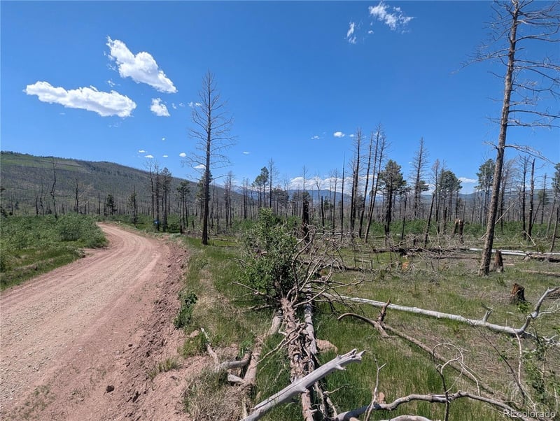 1050 Seawell Pl, Fort Garland, CO 81133