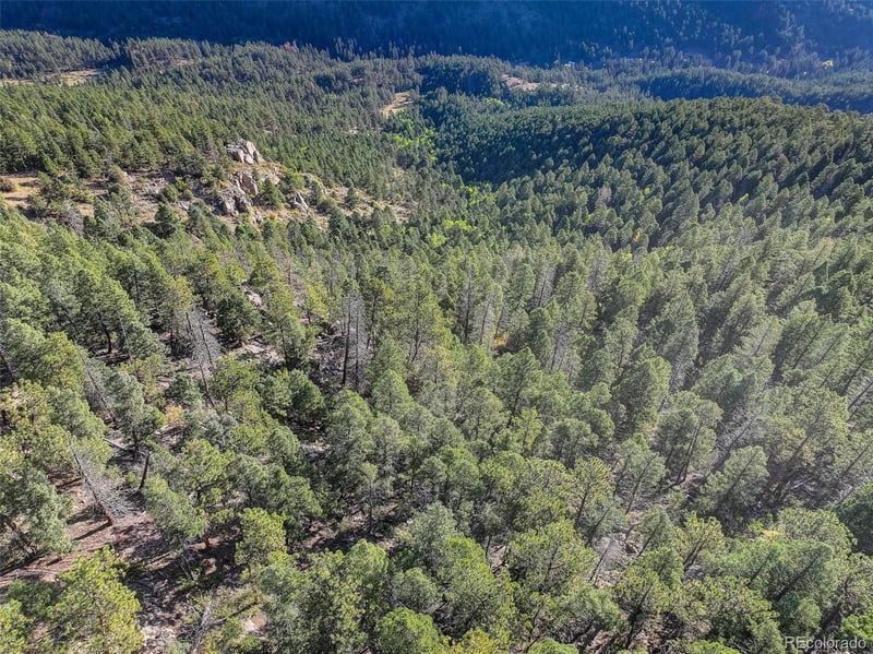 23047 Big Game Trl, Conifer, CO 80433