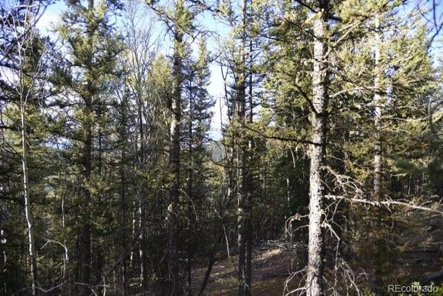 00 Heckman Rd, Fort Garland, CO 81133