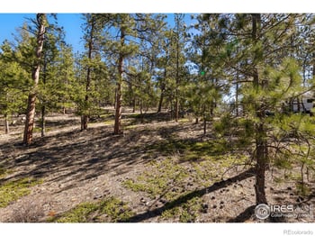 105 Fox Creek Rd, Glen Haven, CO 80532