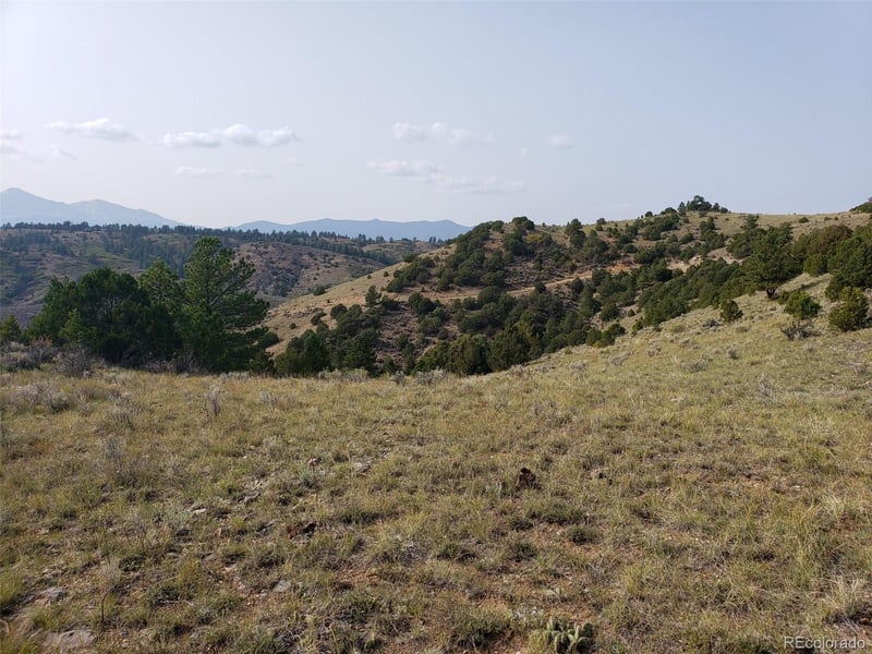 251 Floweree Dr, Fort Garland, CO 81133
