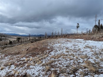 2283 Wohlstetter Loop, Fort Garland, CO 81133