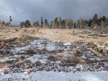 2283 Wohlstetter Loop, Fort Garland, CO 81133