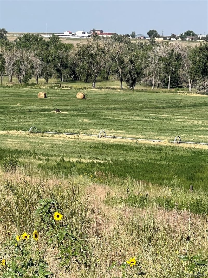 51315 56th Ave, Bennett, CO 80102