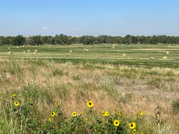 51315 56th Ave, Bennett, CO 80102