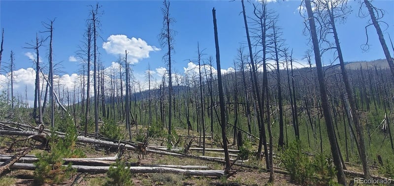 Slaoui Pl Lot 854,855, Fort Garland, CO 81133