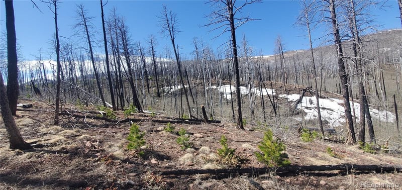 Slaoui Pl Lot 854,855, Fort Garland, CO 81133