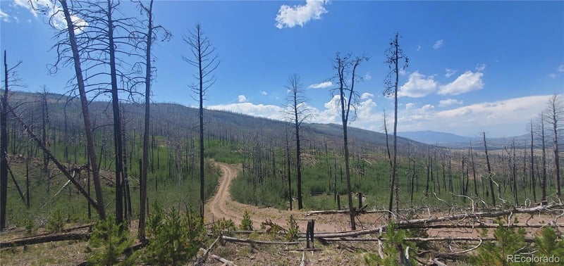 Slaoui Pl Lot 854,855, Fort Garland, CO 81133