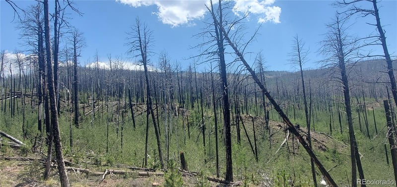 Slaoui Pl Lot 854,855, Fort Garland, CO 81133