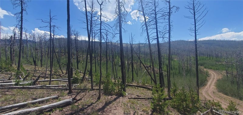 Slaoui Pl Lot 854,855, Fort Garland, CO 81133
