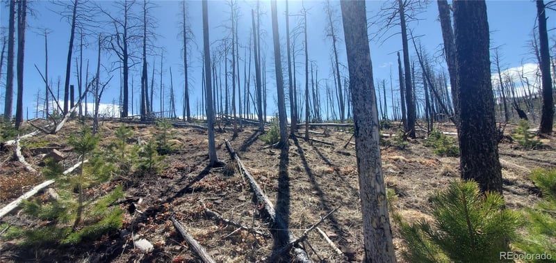 Slaoui Pl Lot 854,855, Fort Garland, CO 81133