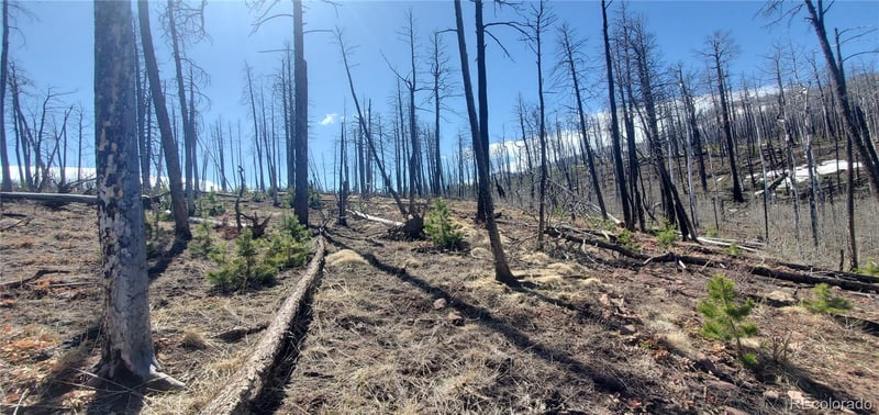 Slaoui Pl Lot 854,855, Fort Garland, CO 81133