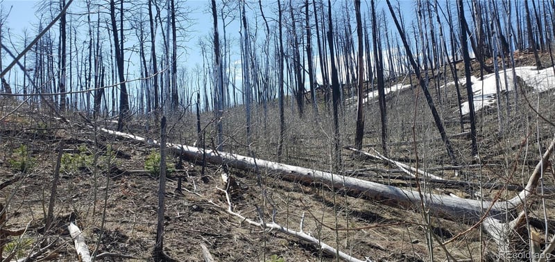 Slaoui Pl Lot 854,855, Fort Garland, CO 81133