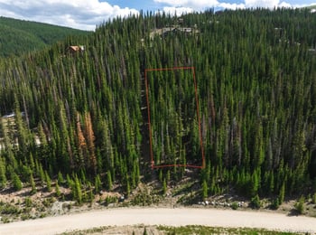 275 Cr 805 , Breckenridge, CO 80424