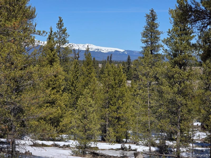 379 Lodgepole Dr, Twin Lakes, CO 81251