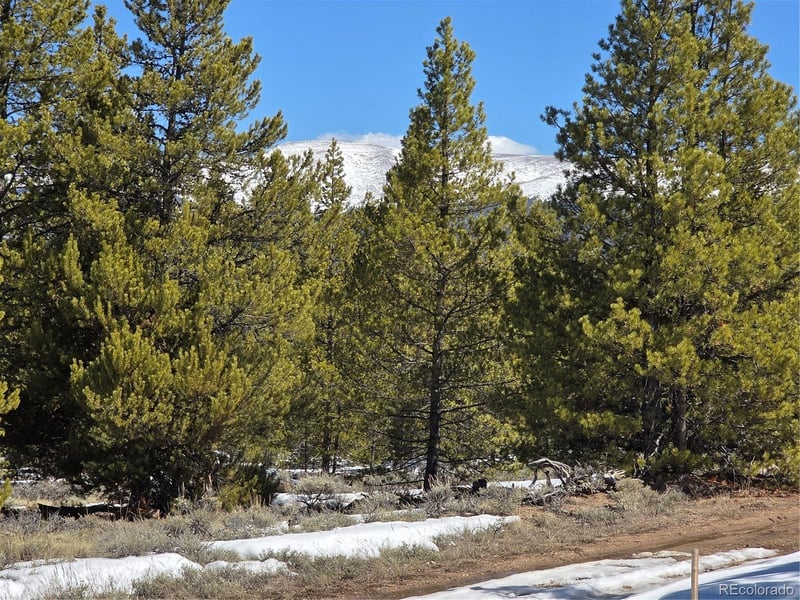 378 Ponderosa Dr, Twin Lakes, CO 81251