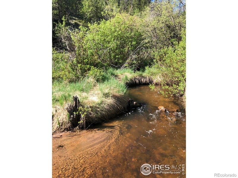 53 Ada Ct, Red Feather Lakes, CO 80545