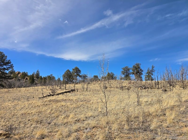 Kataka Rd, Hartsel, CO 80449