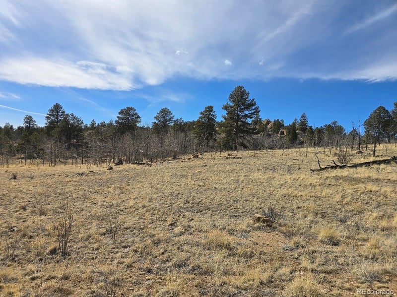 Kataka Rd, Hartsel, CO 80449