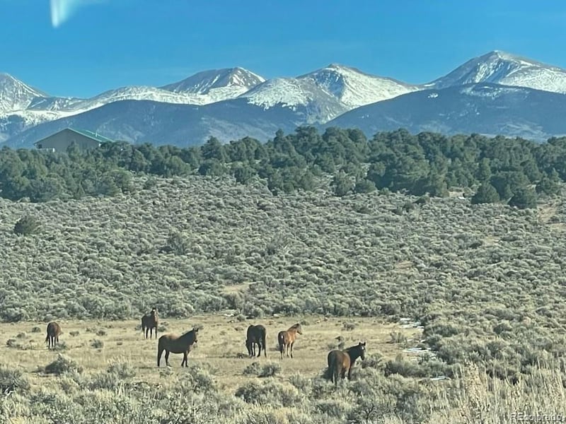 2032 White Tail Rd, San Luis, CO 81152