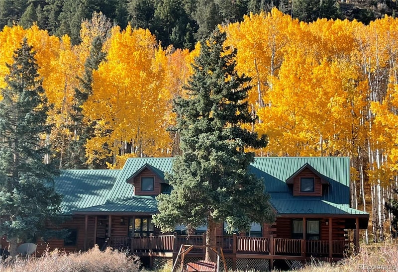 53 Bear Paw Ct, Antonito, CO 81120