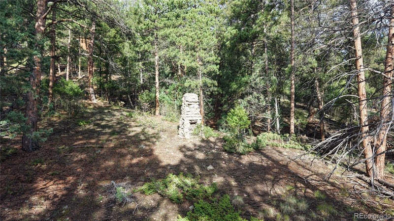 33476 La Plata Ln, Pine, CO 80470