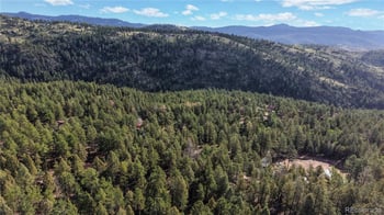 33476 La Plata Ln, Pine, CO 80470