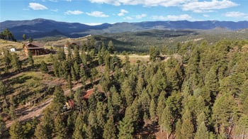 33476 La Plata Ln, Pine, CO 80470