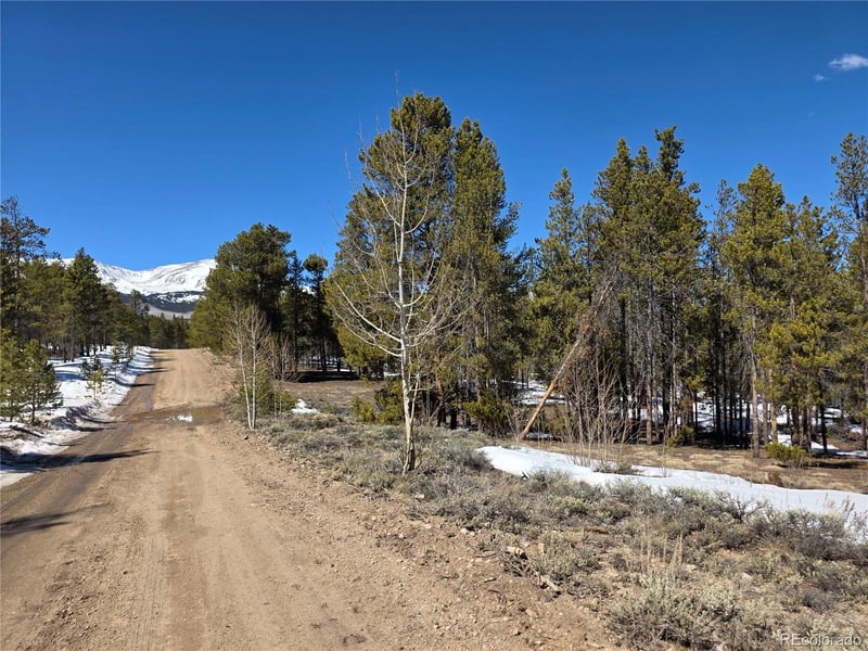 Pan Ark Lots 20 & 29 , Twin Lakes, CO 81251