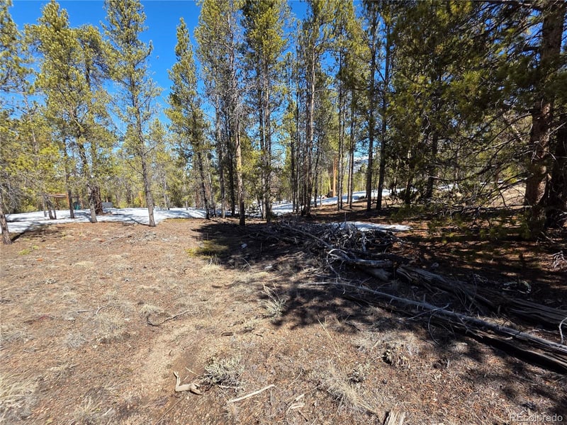 Pan Ark Lots 20 & 29 , Twin Lakes, CO 81251