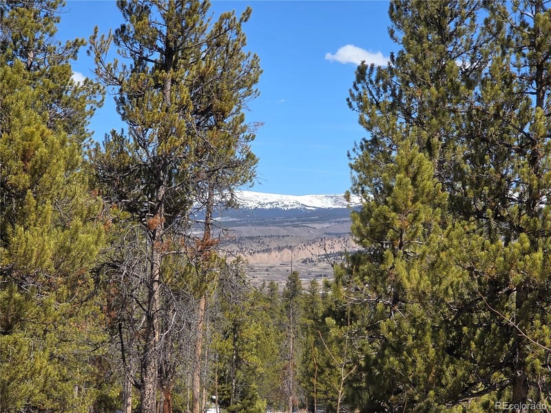 Pan Ark Lots 20 & 29 , Twin Lakes, CO 81251
