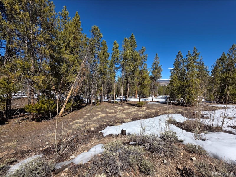 Pan Ark Lots 20 & 29 , Twin Lakes, CO 81251