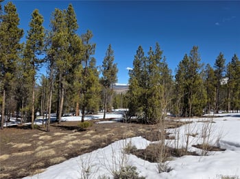 Pan Ark Lots 20 & 29 , Twin Lakes, CO 81251