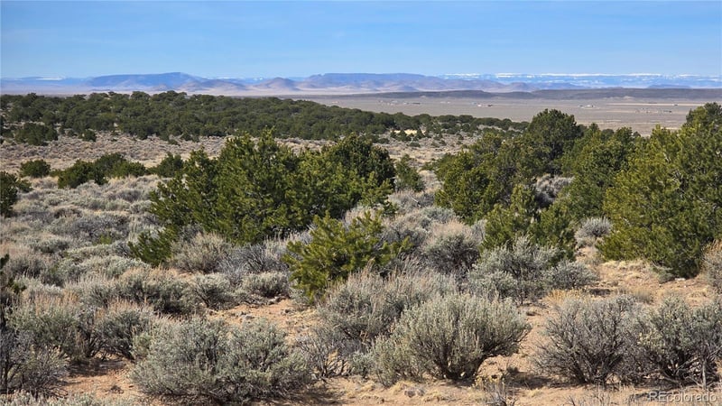 Lot 1075 Sylvia Rd, Fort Garland, CO 81133