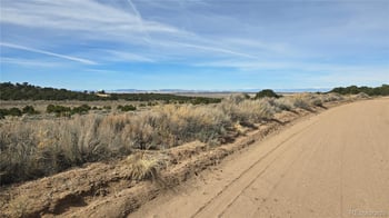 Lot 1075 Sylvia Rd, Fort Garland, CO 81133