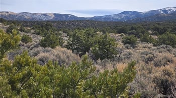 Lot 1075 Sylvia Rd, Fort Garland, CO 81133