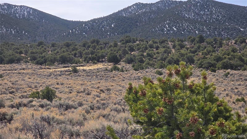 Lot 1075 Sylvia Rd, Fort Garland, CO 81133
