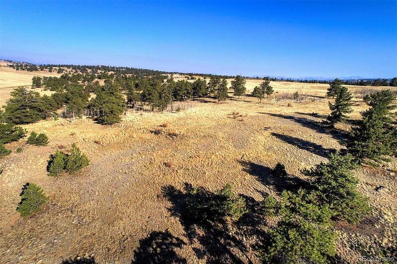 9128B Elkhorn Rd, Hartsel, CO 80449