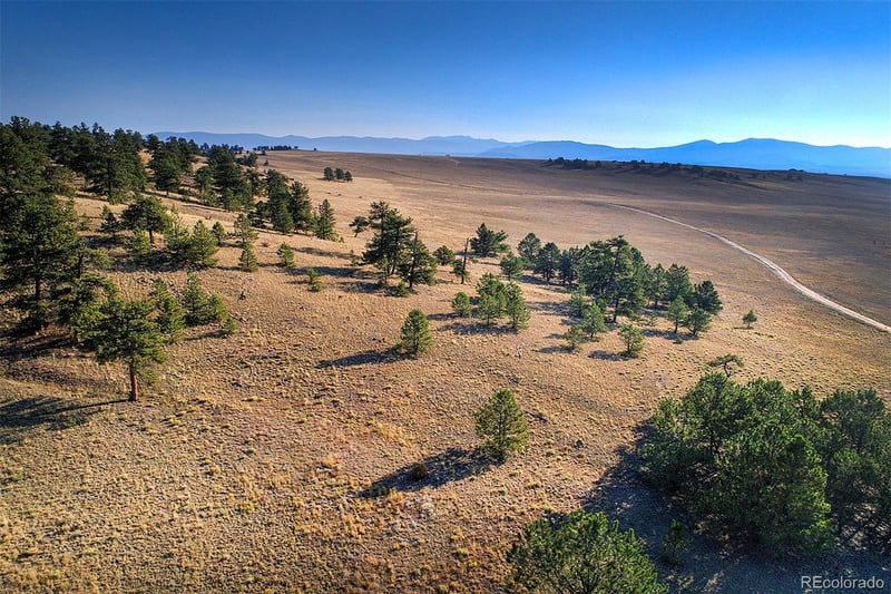 9128B Elkhorn Rd, Hartsel, CO 80449