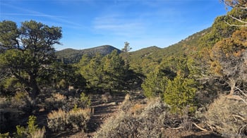 Lot 4582 Laidlaw Rd, Fort Garland, CO 81133