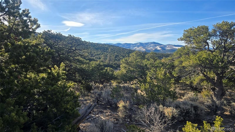 Lot 4582 Laidlaw Rd, Fort Garland, CO 81133