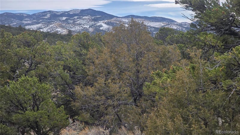 Lot 4582 Laidlaw Rd, Fort Garland, CO 81133