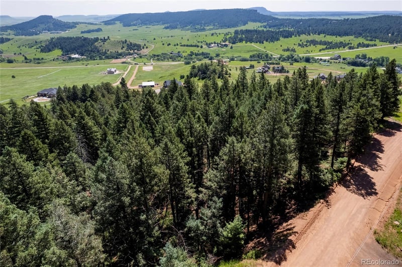 13665 Woodmoor West Dr, Larkspur, CO 80118