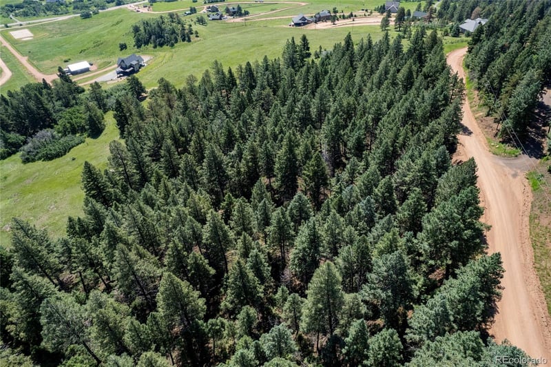 13665 Woodmoor West Dr, Larkspur, CO 80118