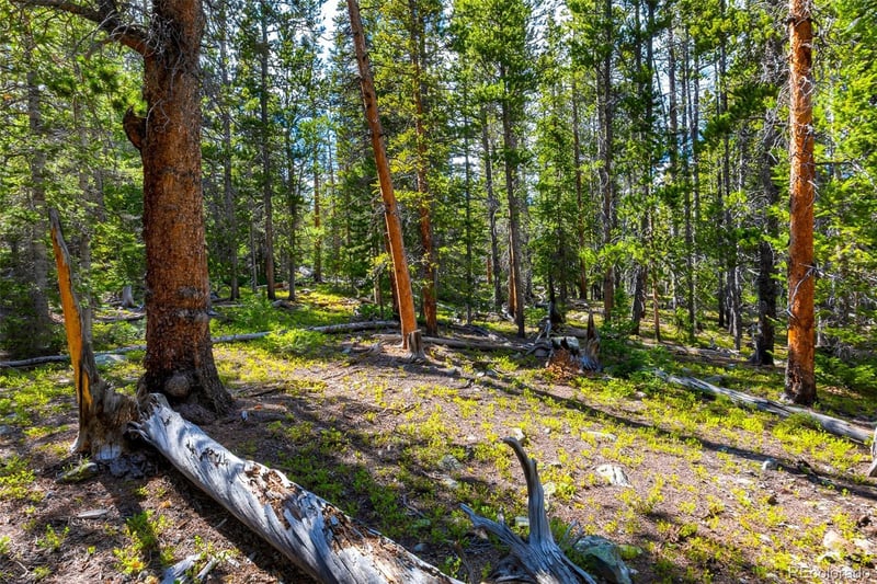 440 Gold Trail Cir Lot 64, Fairplay, CO 80440